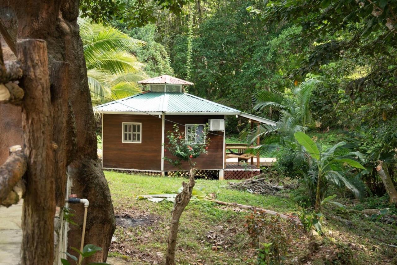 Hilamito Lodge Tela Kültér fotó
